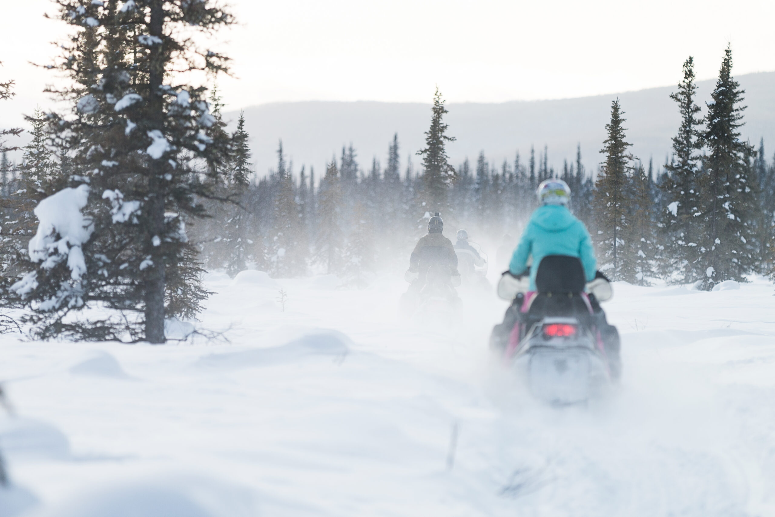 Fairbanks Snow Sleighers guide team at Goldstream Road