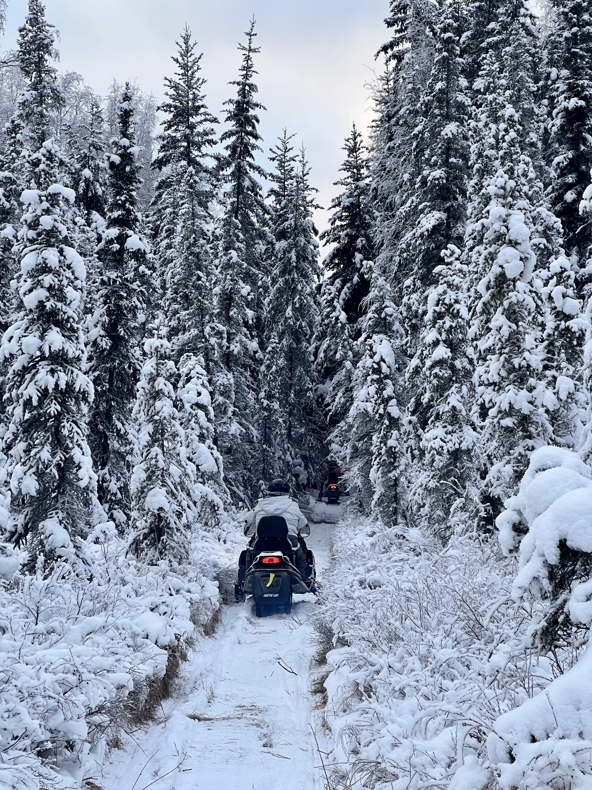 Lynx Loop beginner snowmobile sled tour Fairbanks